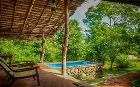 Wild Wadi Wilpattu - Villas With Private Plunge Pools